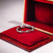 bd004 14k white gold band ring T:1.63g